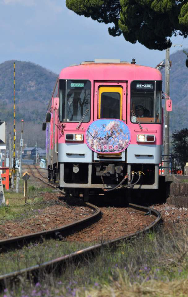 網引駅