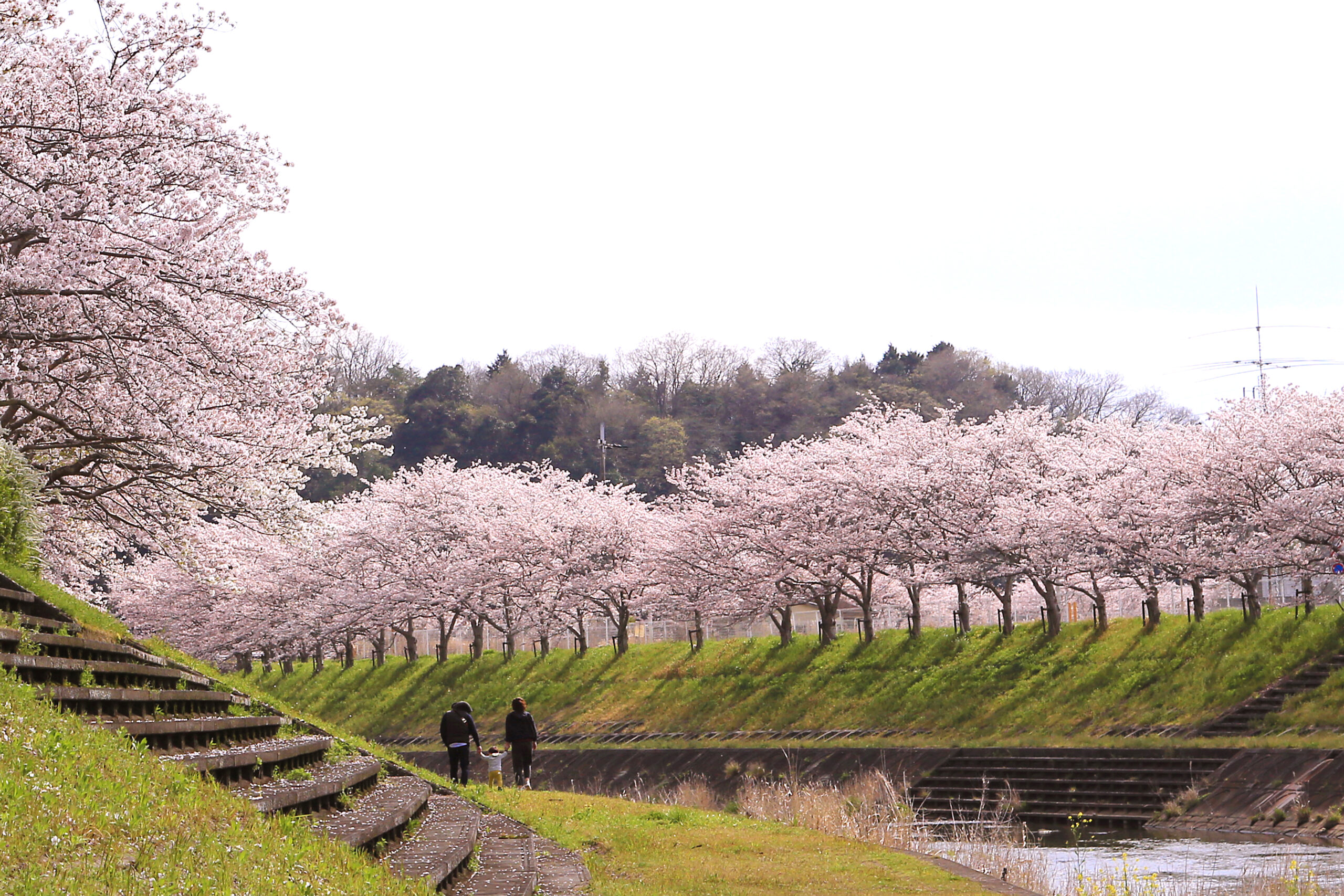 東条川