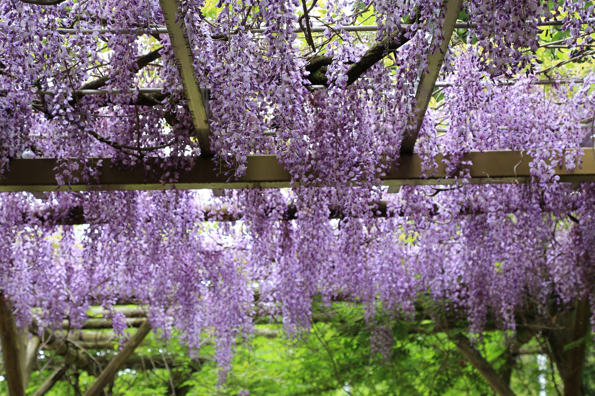 六所神社