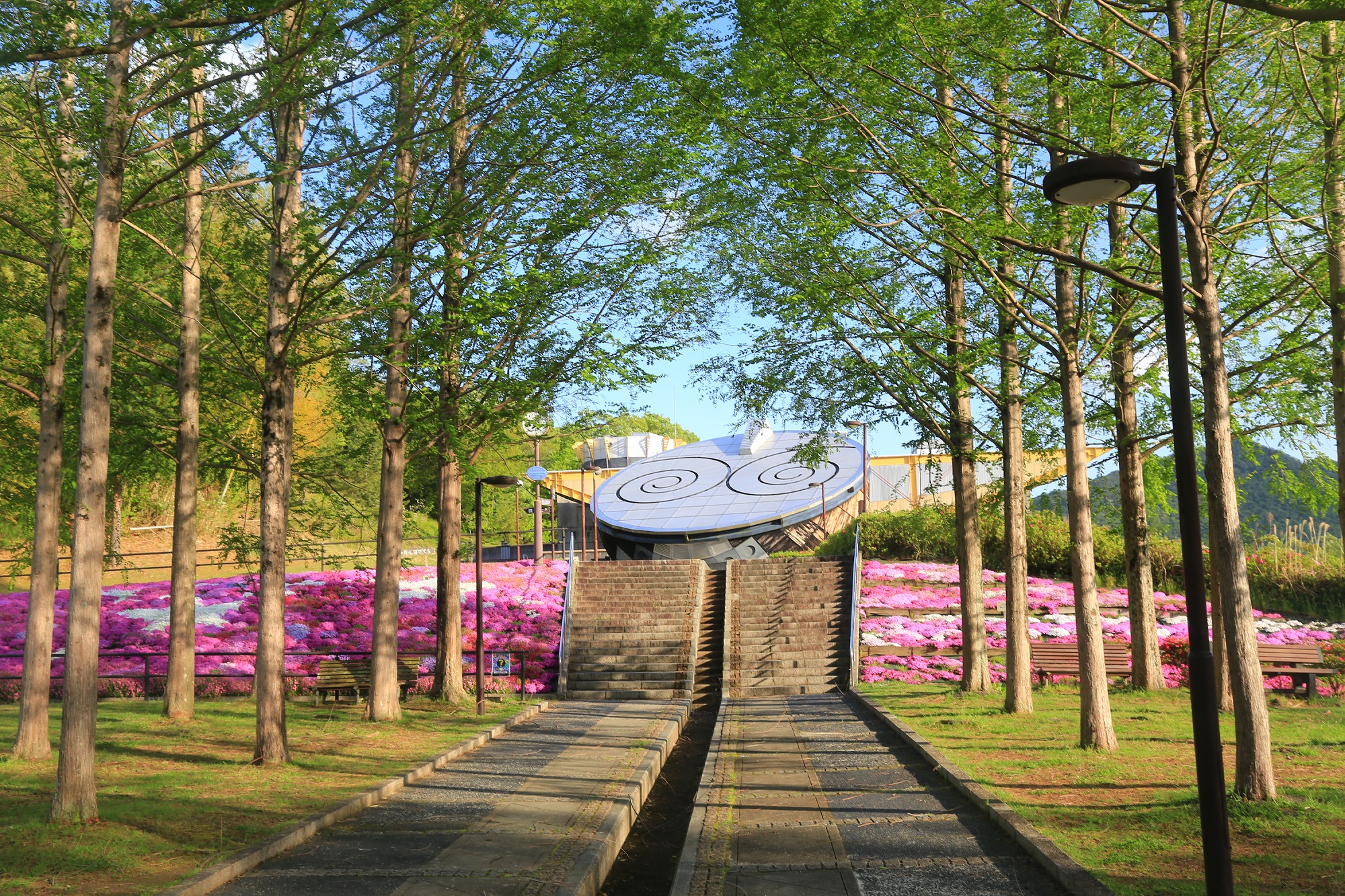 日本へそ公園