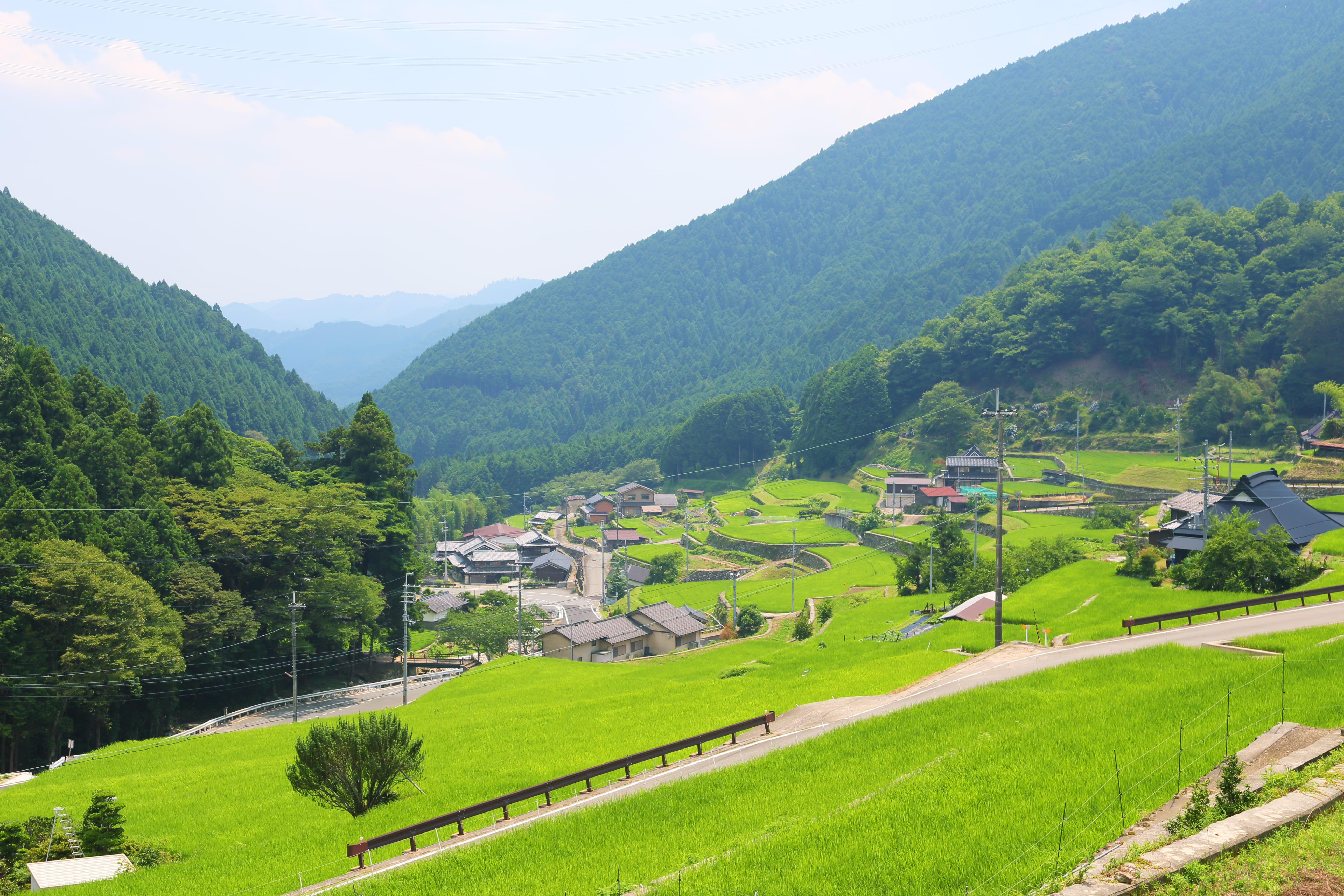 岩座神の棚田