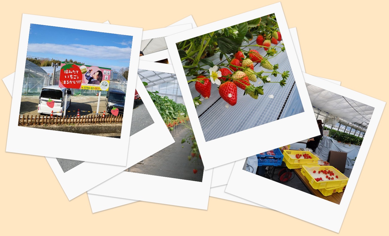 好旬ファームパーク