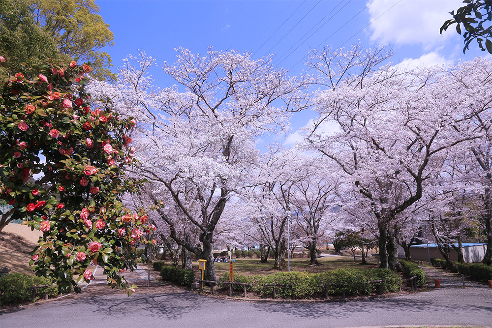 西脇公園