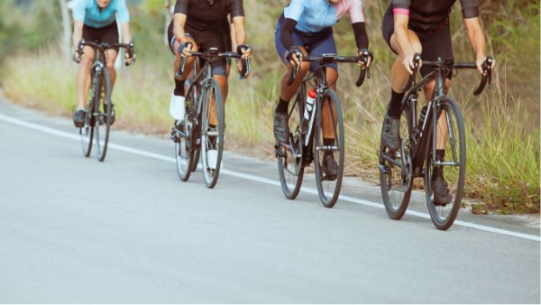 山田錦の里ロングライドコース