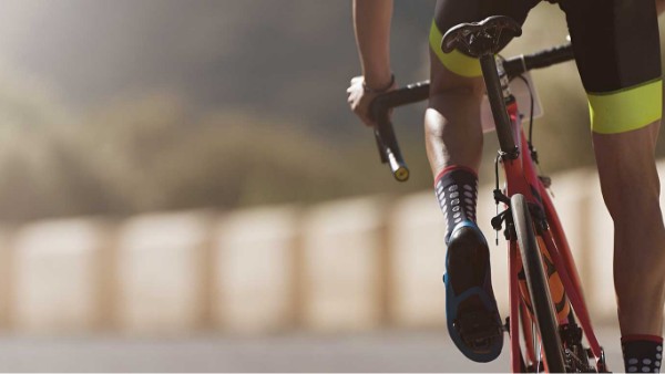 はりちゅう中距離コース