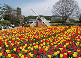 県立フラワーセンター