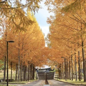 日本のへそ公園